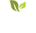 Cafeausoul logo cup